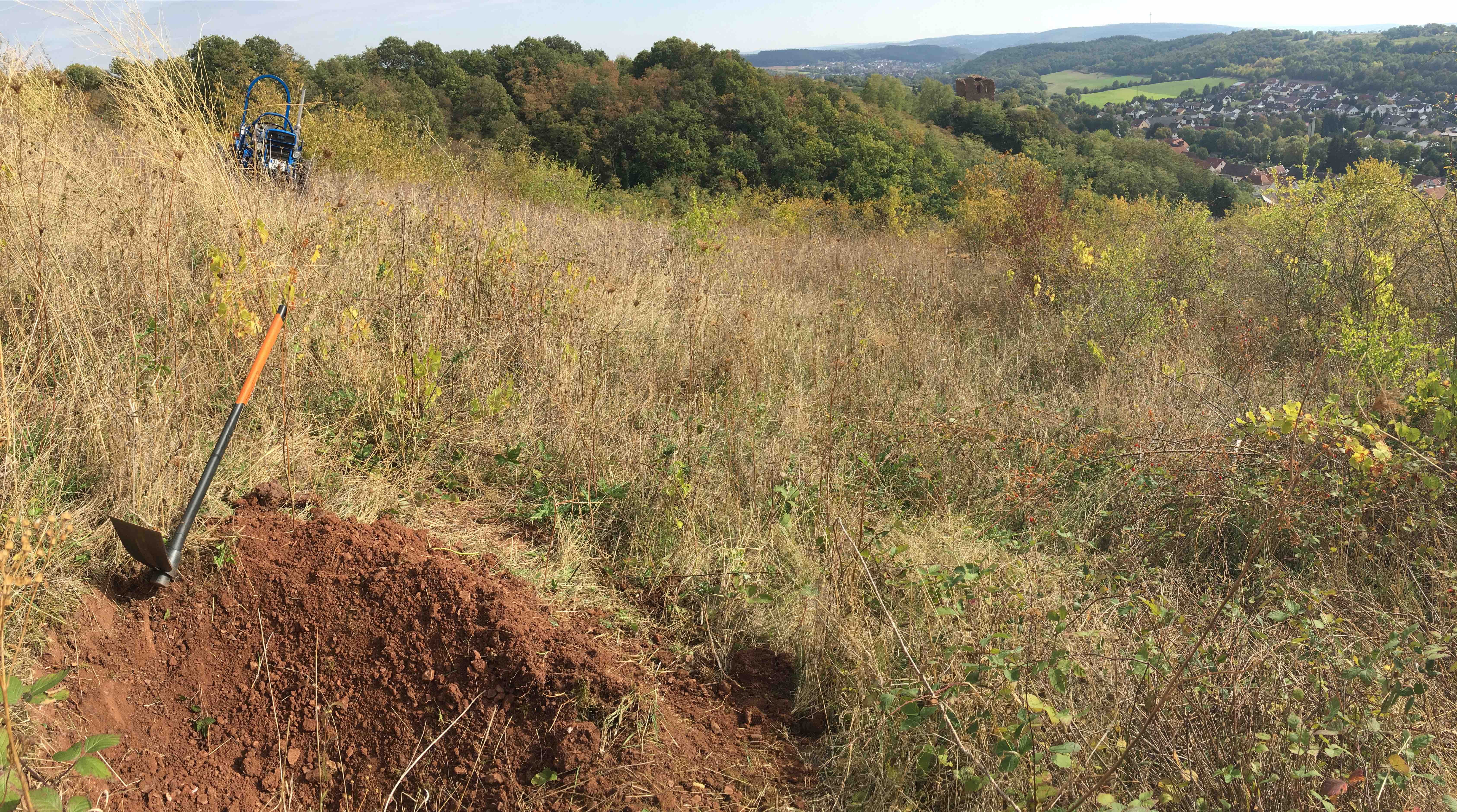 2018-09-28 Araukarien-Pflanzloch