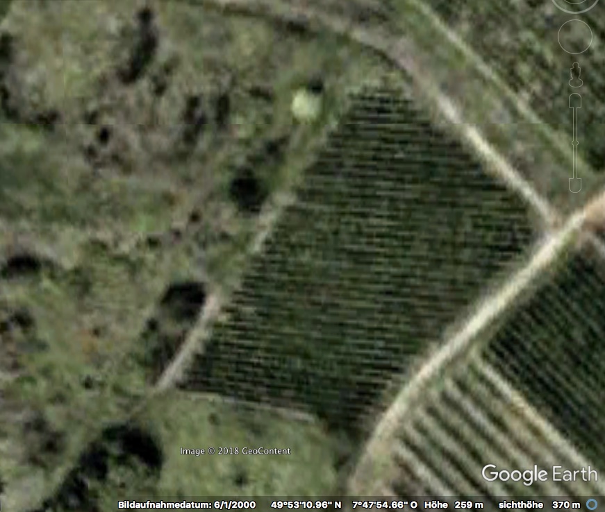 Lederhose_2000-06-01