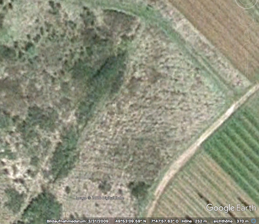 Lederhose_2009-03-31