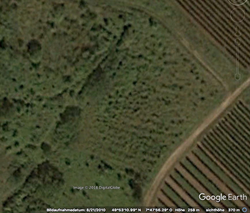 Lederhose_2010-08-21