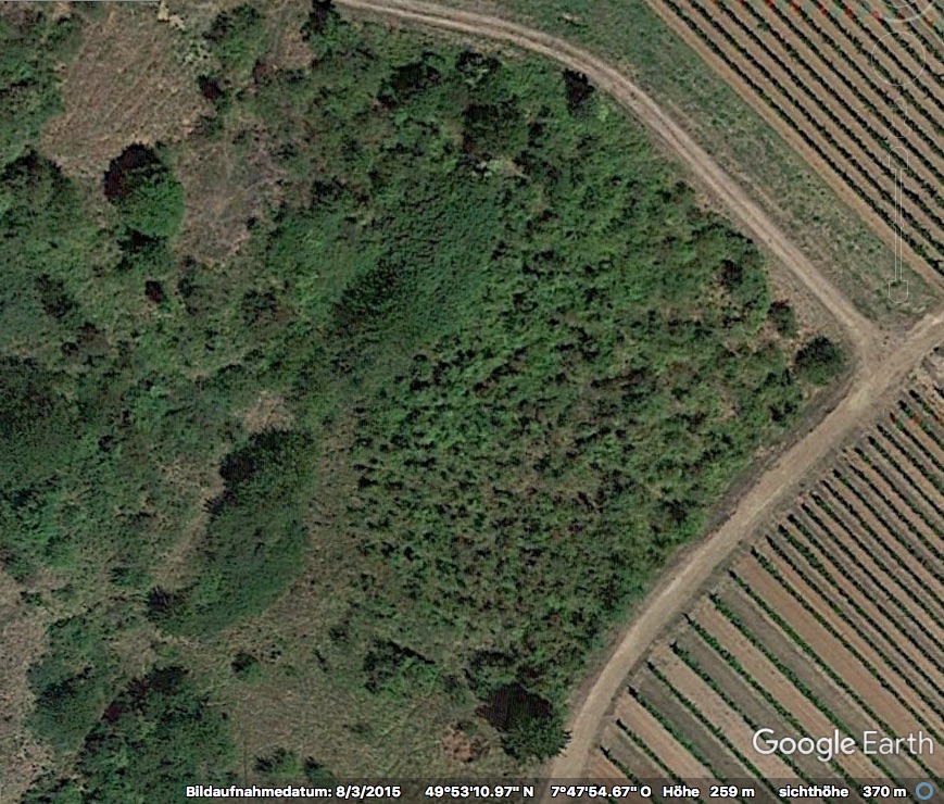 Lederhose_2015-08-03