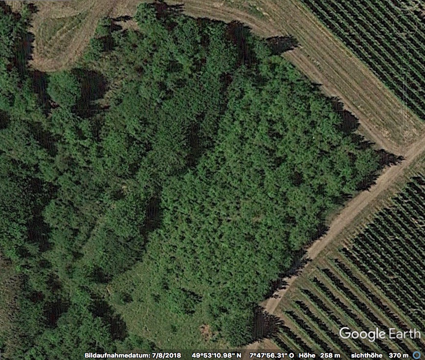 Lederhose_2018-07-08