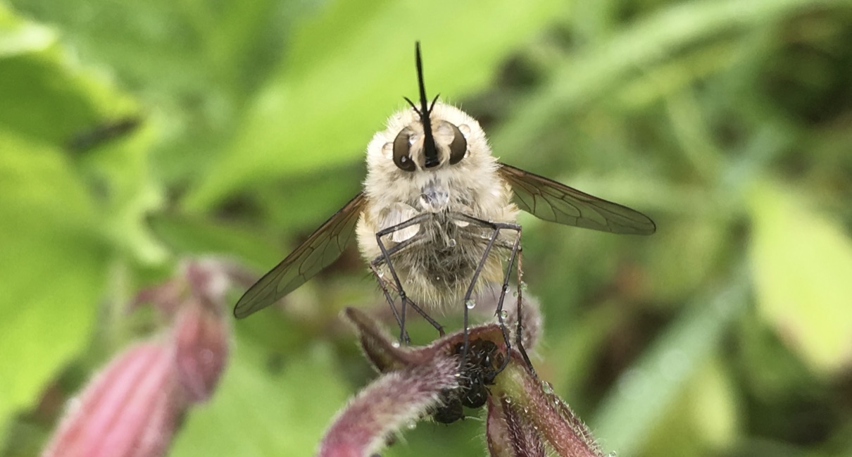 s+W5KZPwThCz5sfF3MKrHQ_thumb_1014b