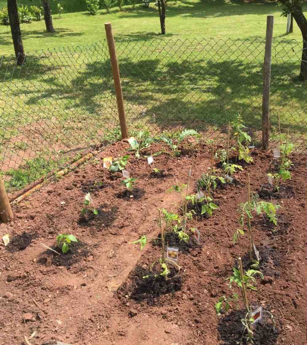 2019-05-24 Gutenberg