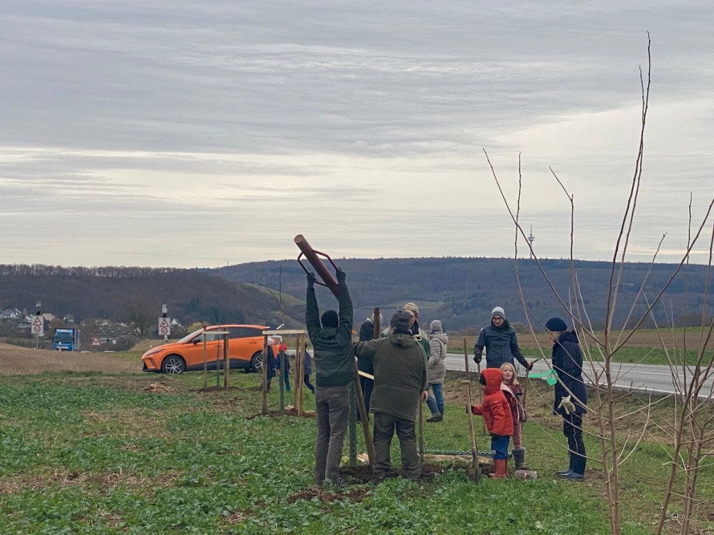 Dieses Bild hat ein leeres Alt-Attribut. Der Dateiname ist gbw_2024-11-23_4039.jpeg